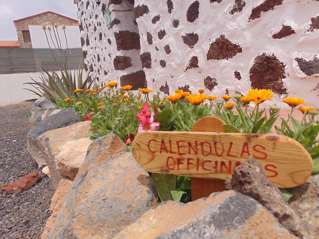 Casa Rural Soleario La Oliva 0*,